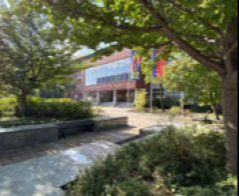 Pedagogika - Katowice i woj. śląskie