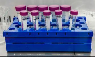 Kierunek Lekarski - Katowice i woj. śląskie