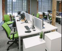 Administracja - Toruń