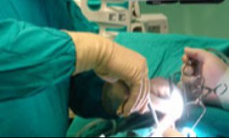 Kierunek lekarski - Toruń