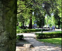 Ochrona środowiska - Gdańsk, Gdynia, Sopot