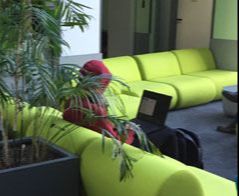 Grafika komputerowa i produkcja multimedialna - Rzeszów