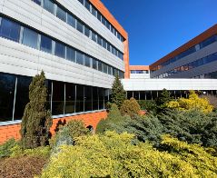 Zarządzanie - Łódź