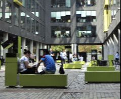 Pedagogika - Toruń