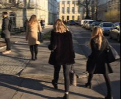 Inżynieria zarządzania - Toruń