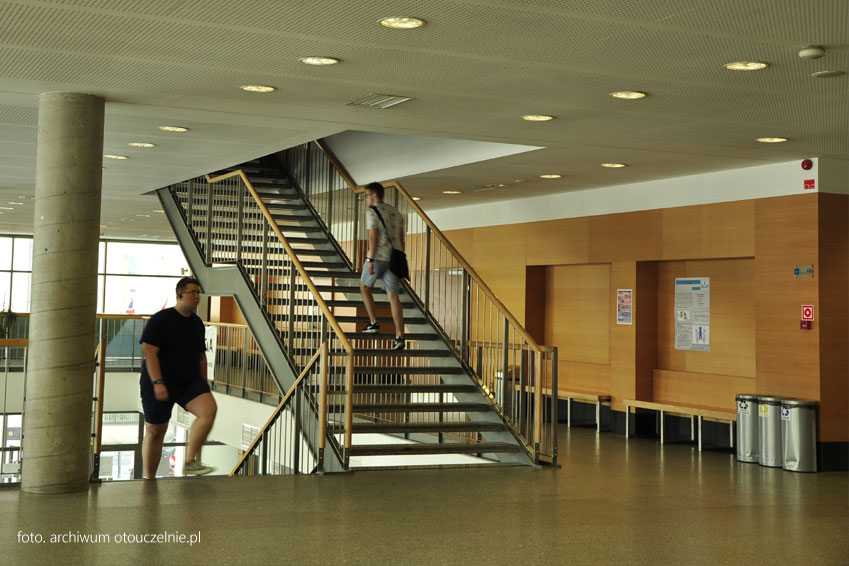 Jaka praca po studiach na kierunku Filologia w Kielcach