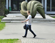 Studia zarządzanie Kielce