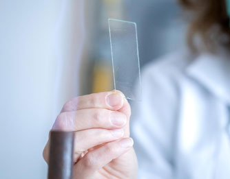 Studia biologiczne i przyrodnicze Bydgoszcz