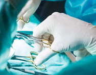 Studia weterynaryjne Olsztyn