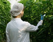 Uczelnia przyrodnicza Siedlce