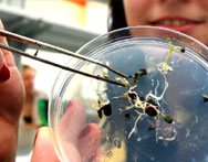 Studia biologiczne i przyrodnicze Warszawa