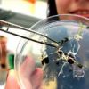 Studia biologiczne i przyrodnicze Warszawa