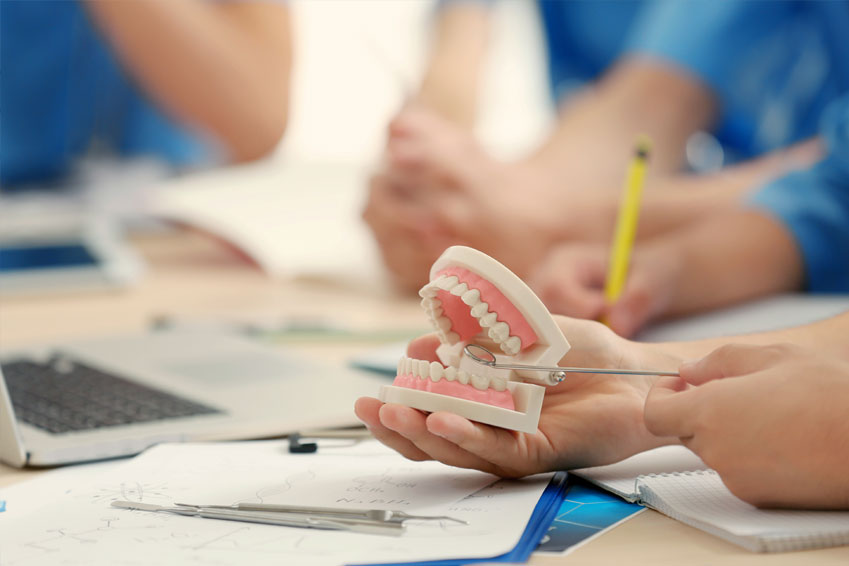 Ile trwają studia na kierunku lekarsko-dentystycznym w Warszawie