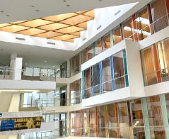 Ekonomia studia online - Łódź