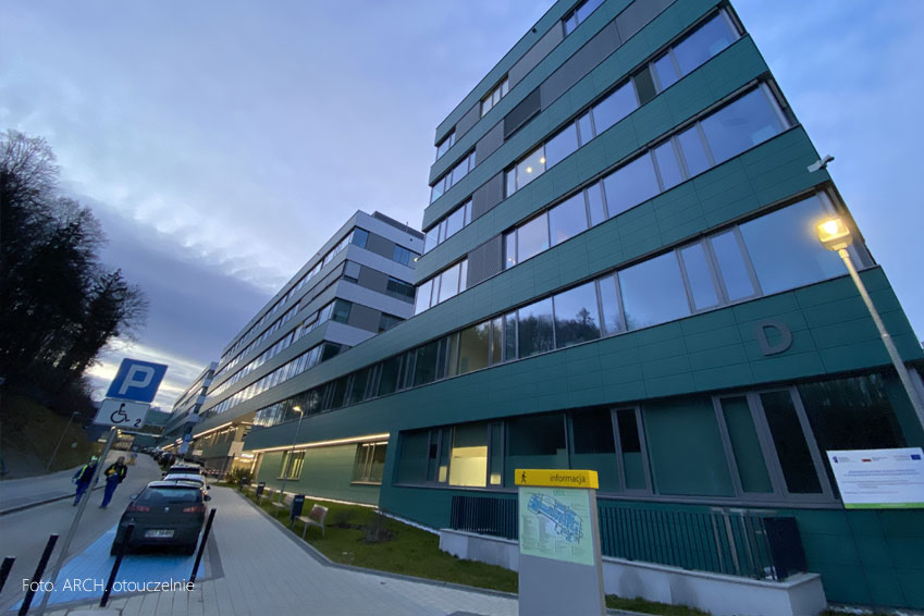 Jak wyglądają studia na kierunku fizjoterapia w Gdańsku?