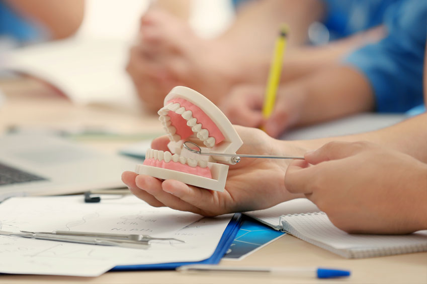 Ile trwają studia na kierunku techniki dentystyczne w Warszawie