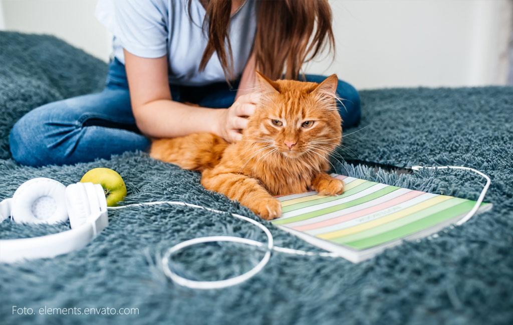 Jakie są przesądy maturalne? Co przynosi szczęście, a co pecha?