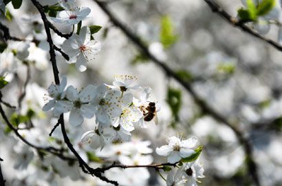 Kierunek ochrona środowiska studia w Uniwersytecie Przyrodniczym we Wrocławiu – rekrutacja 2025/2026