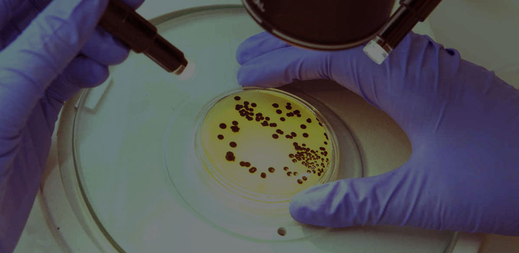 Studia biologiczne i przyrodnicze Trójmiasto (Gdańsk, Gdynia, Sopot)