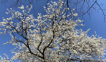 Studia biologiczne i przyrodnicze
