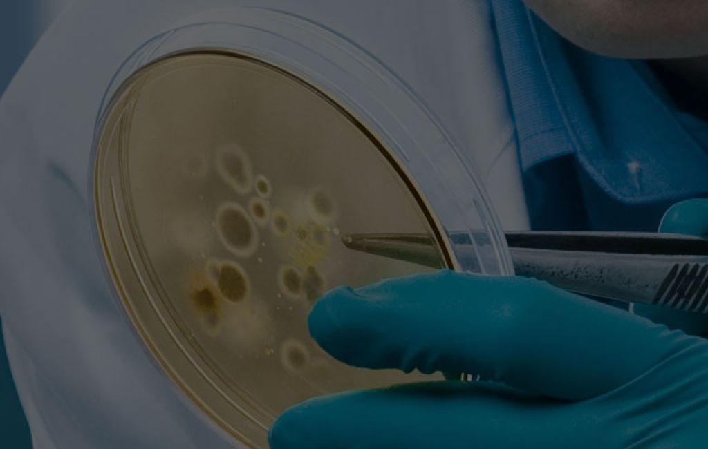 Inżynieria biomedyczna - Poznań