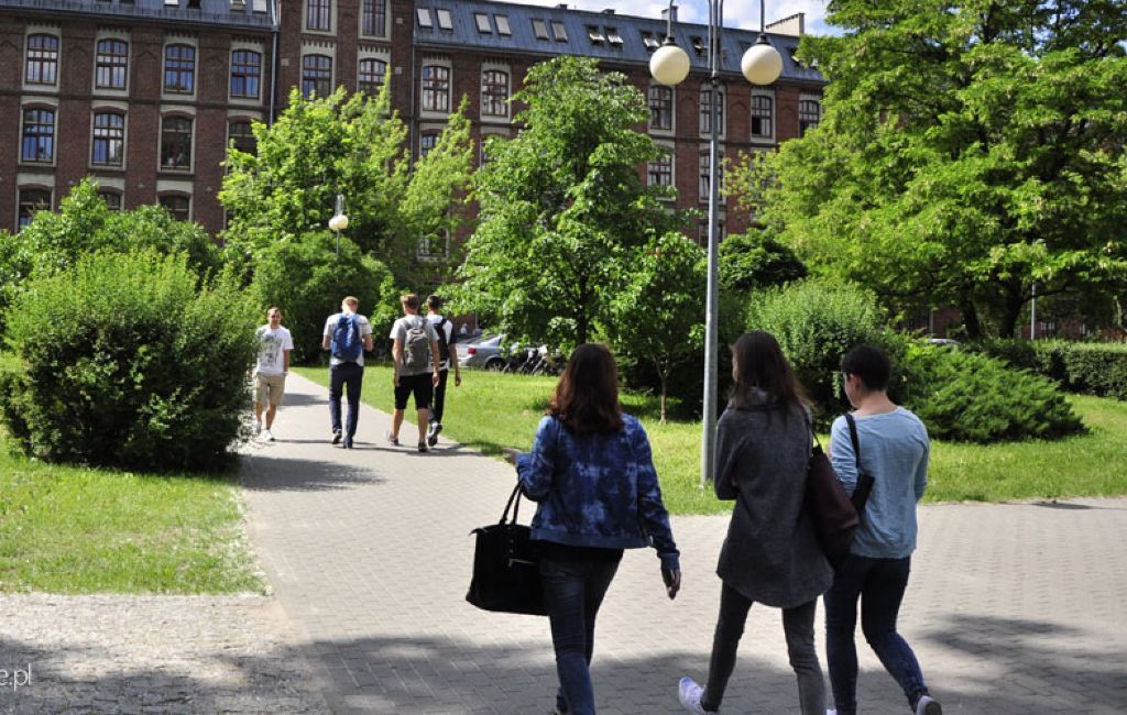 Pedagogika przedszkolna i wczesnoszkolna - studia online - Wrocław