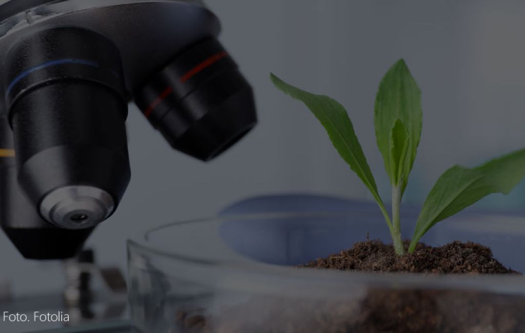 Biotechnologia stosowana roślin - Wrocław