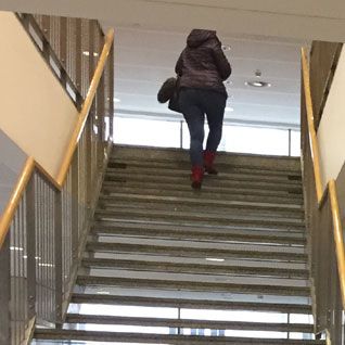 Analityka żywności studia