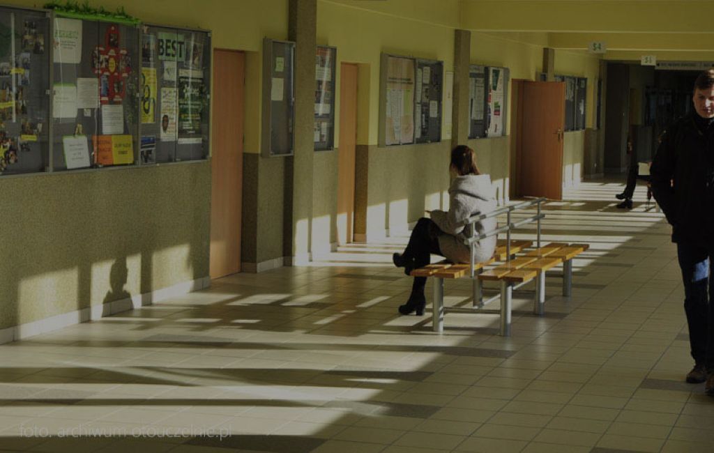 Pedagogika - Toruń