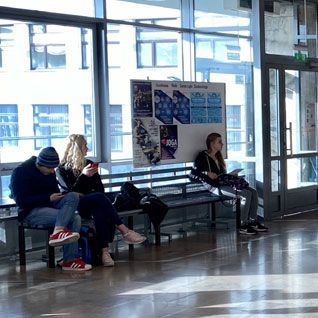 Biomonitoring i zarządzanie środowiskiem