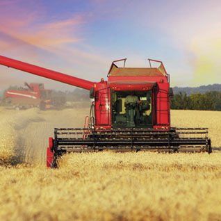 Agrobiznes studia