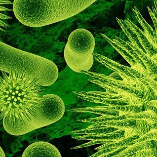 Biomonitoring i biotechnologie ekologiczne