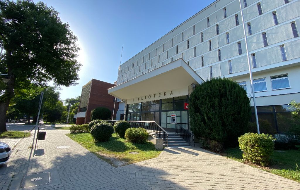 Pedagogika - Lublin