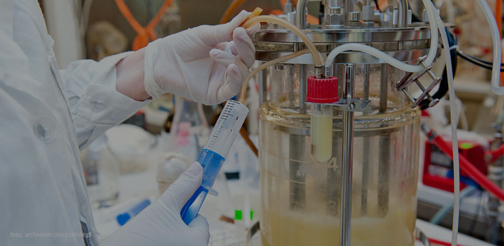 Studia biologiczne i przyrodnicze Kraków