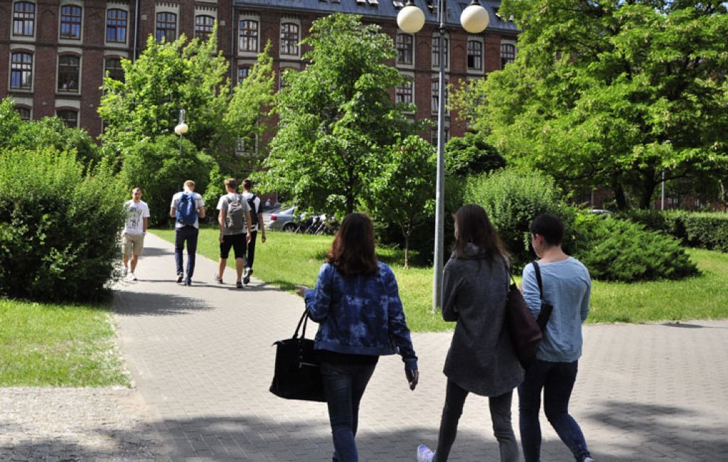 Bezpieczeństwo i higiena pracy - Zielona Góra