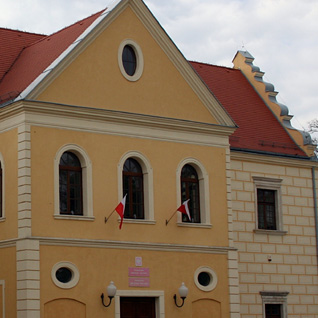 Licea w Działoszynie