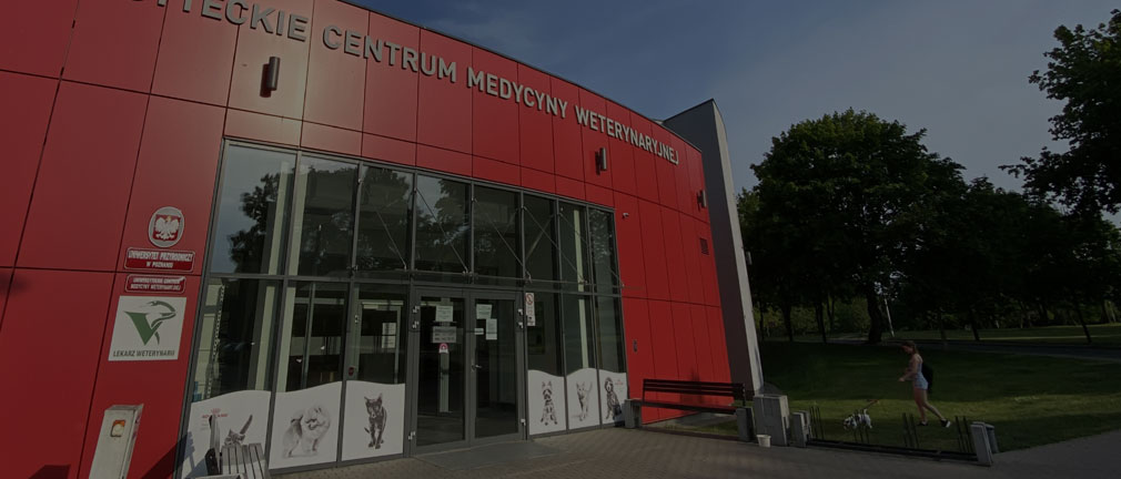 Studia weterynaryjne