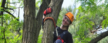 Wydział Leśny i Technologii Drewna UP w Poznaniu