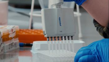 Międzyuczelniany Wydział Biotechnologii UG i GUMed