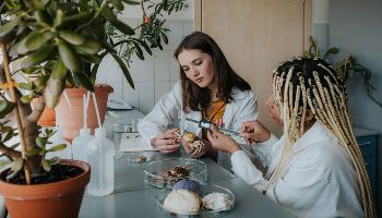 Wydział Oceanografii i Geografii UG