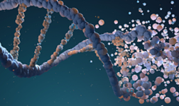 Bioinformatyka